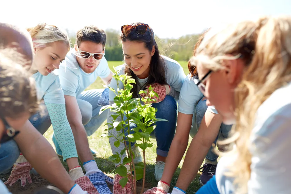 Corporate CSR partnerships